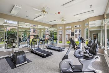 Wellness and fitness studio